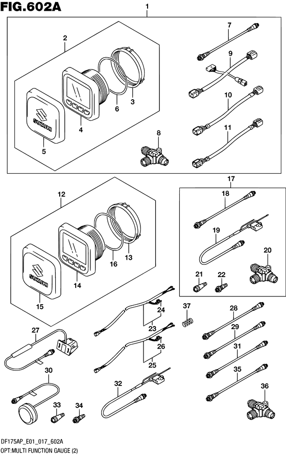Opt:multi function gauge