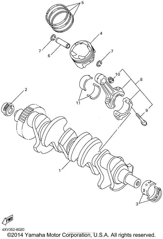 Crankshaft & Piston