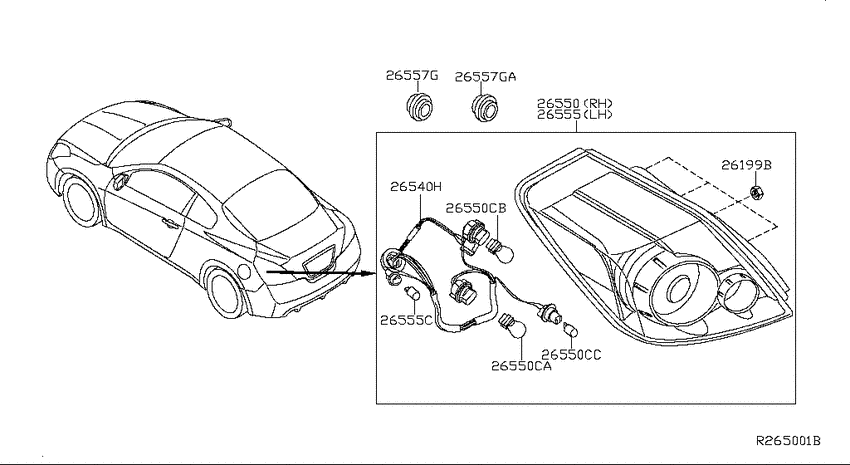 Rear combination lamp