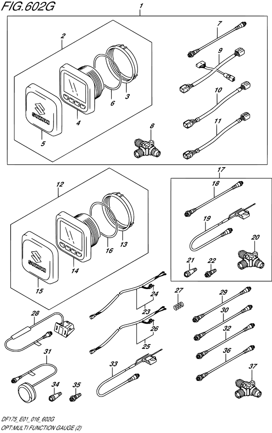 Opt:multi function gauge