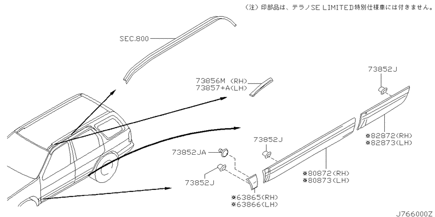 Body side moulding