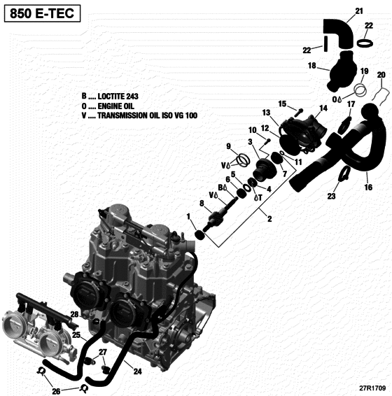 01- Engine Cooling - All Models