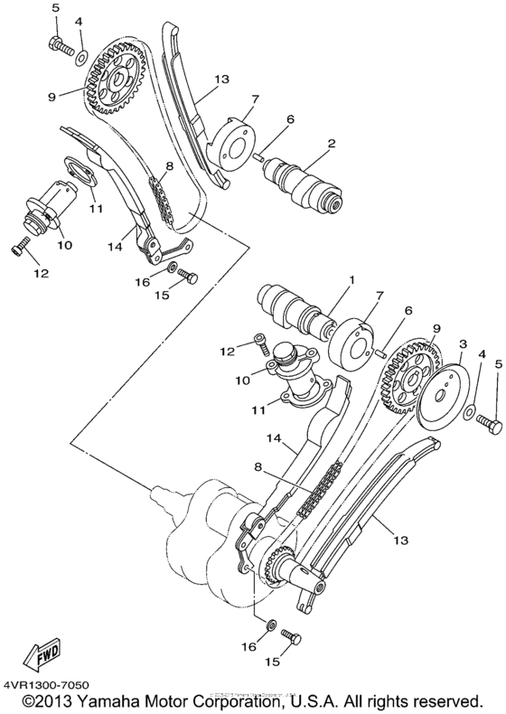 Camshaft & chain