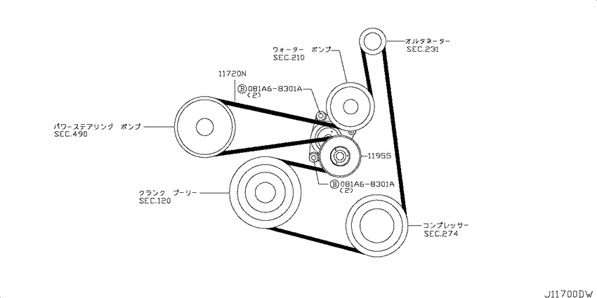 Fan,compressor & power steering belt