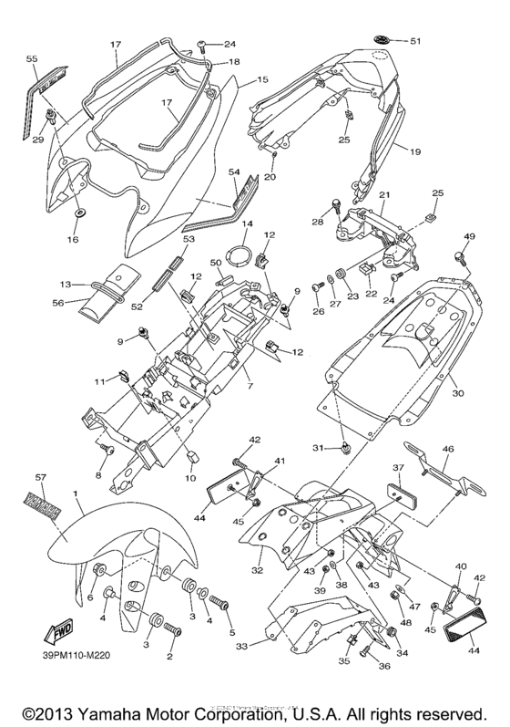 Fender
