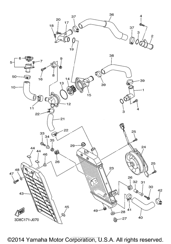 Radiator & hose