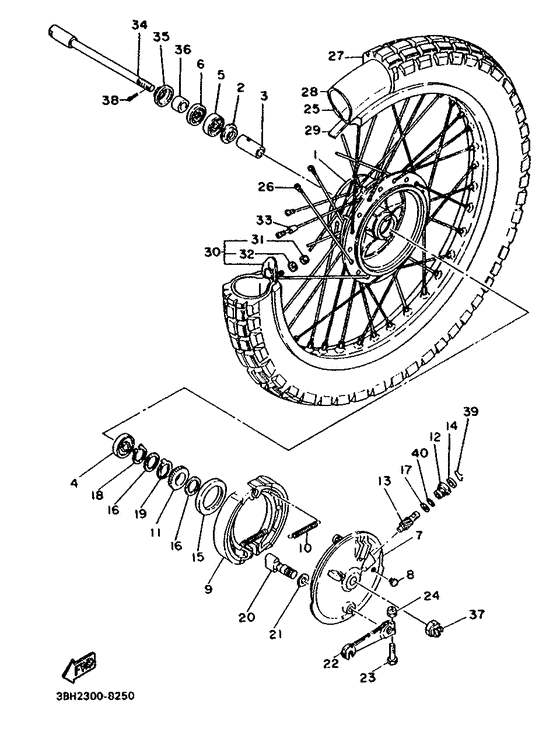 Front wheel