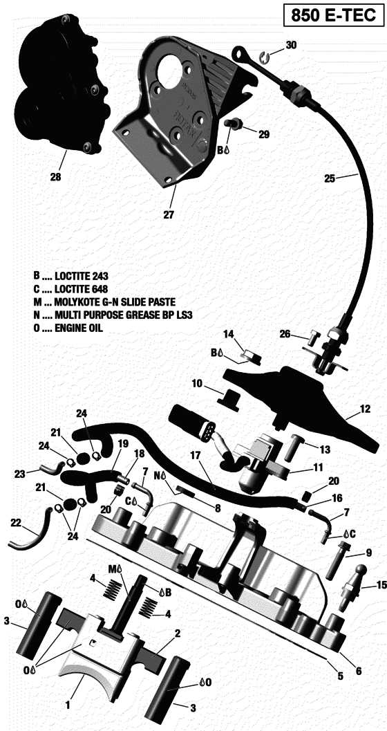 01- Rave Valve - All Models