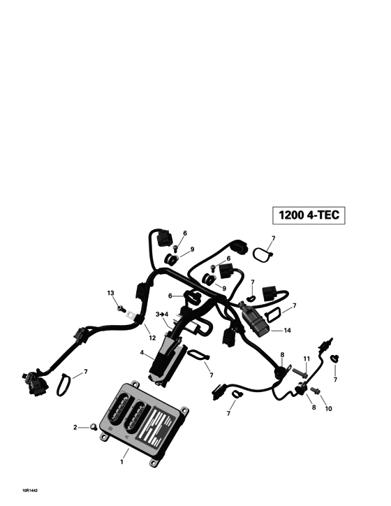 10- Engine Harness And Electronic Module