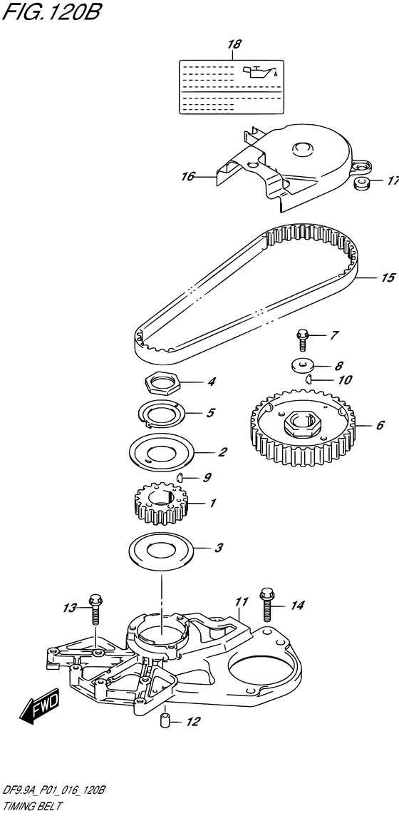 Timing belt