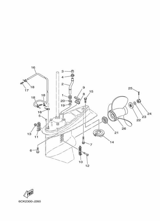 Lower casing & drive 2