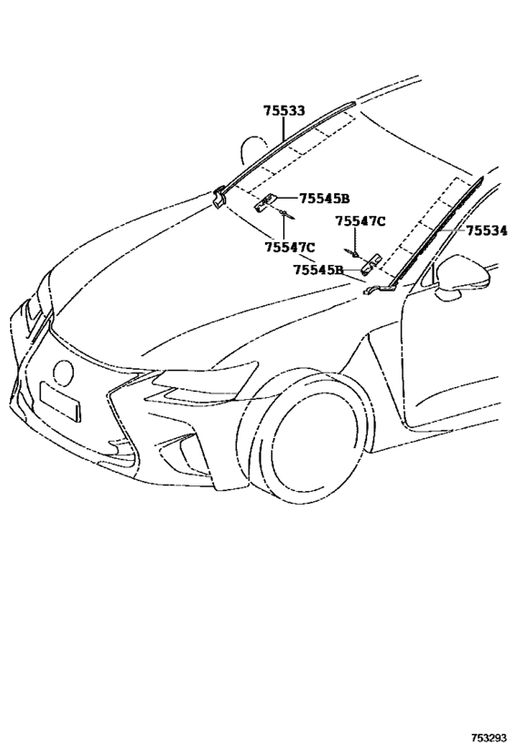 Front Moulding