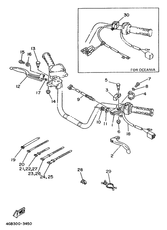 Handle switch & lever