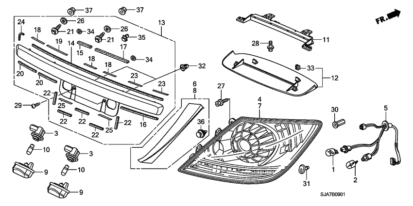 Taillight/license light