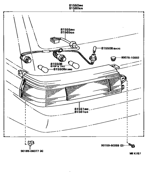 Rear Combination Lamp