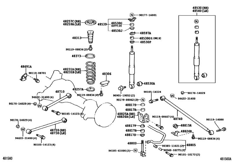 Rear Spring & Shock Absorber
