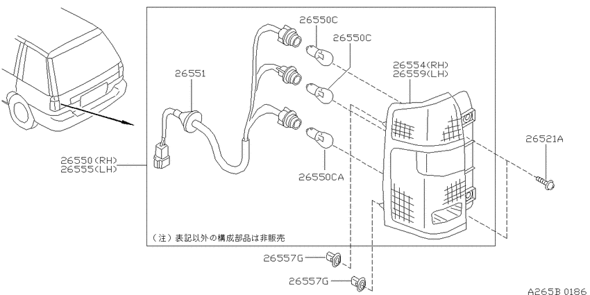 Rear combination lamp
