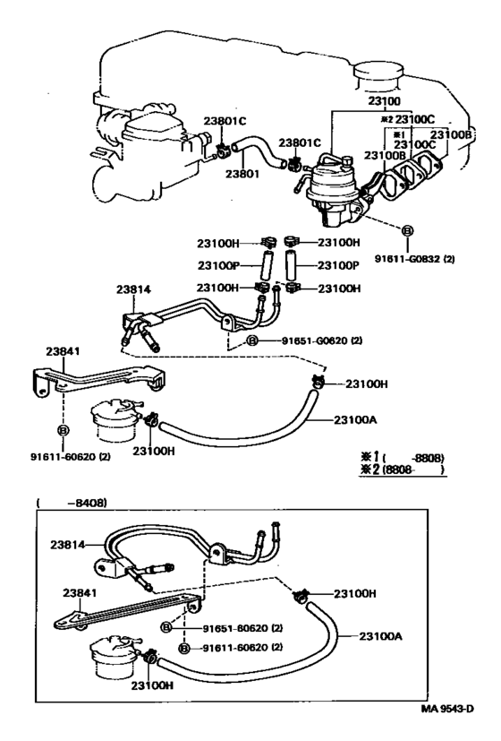 Fuel Pump & Pipe