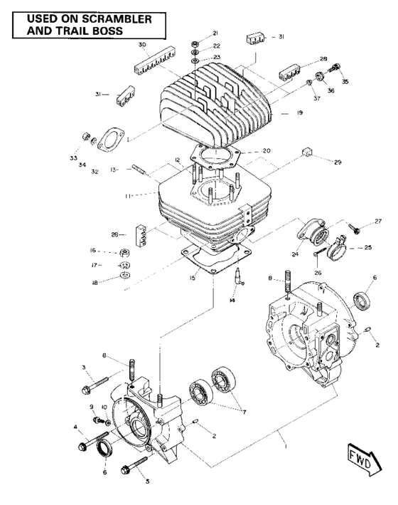 Crankcase and cylinder assembly