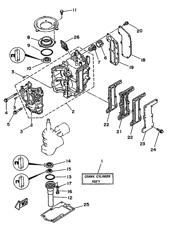 Cylinder. crankcase