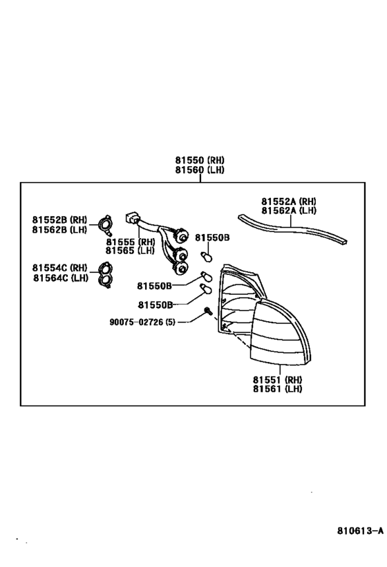 Rear Combination Lamp
