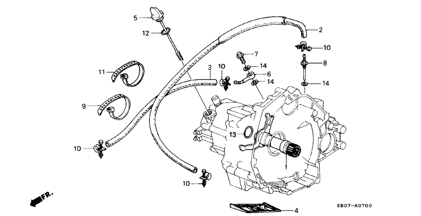 Oil cooler hose/ oil strainer