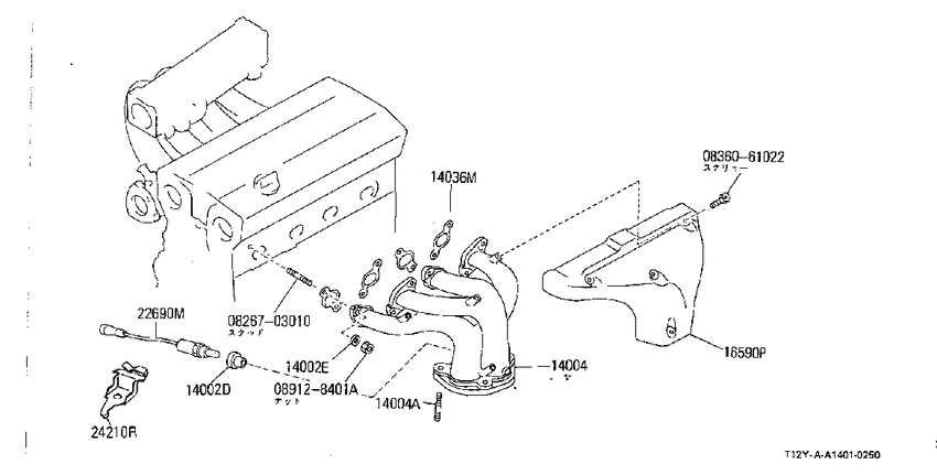 Manifold