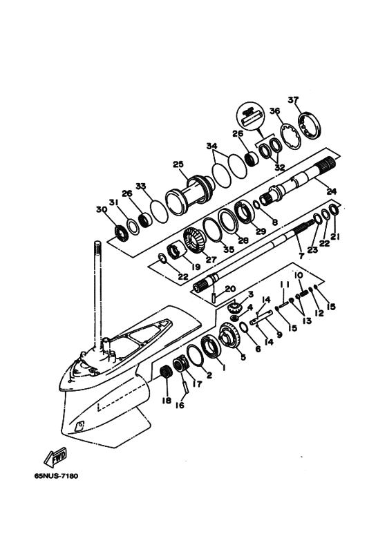 Lower casing & drive 2