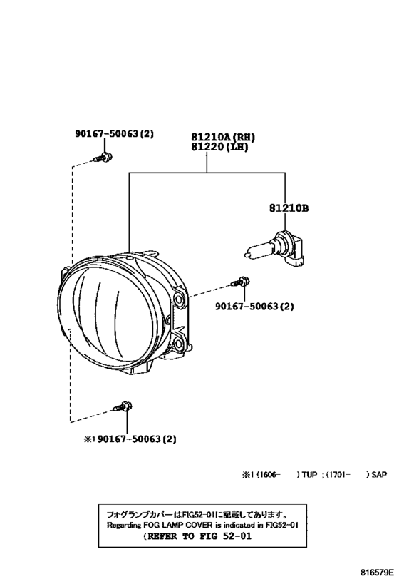 Fog Lamp