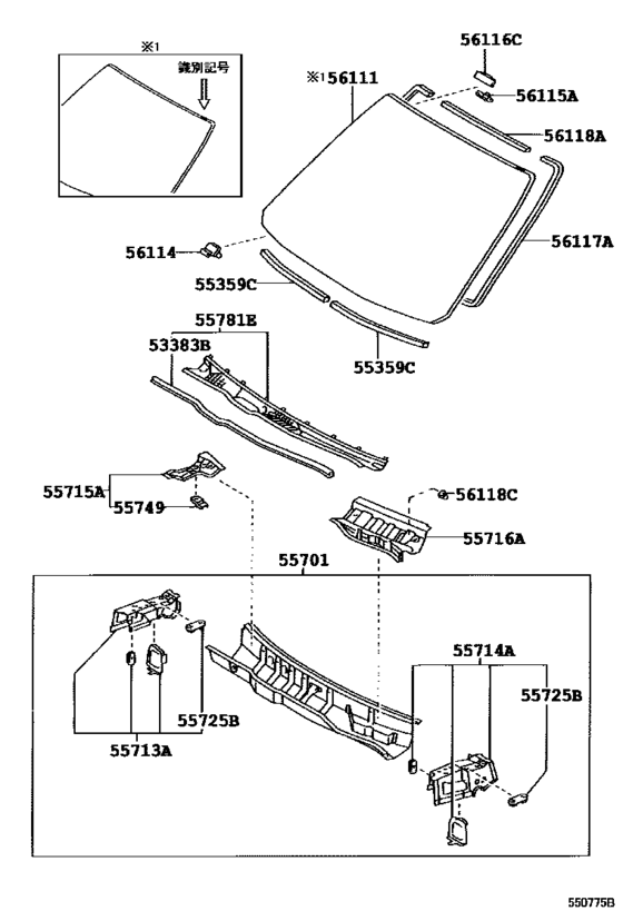 Cowl Panel & Windshield Glass