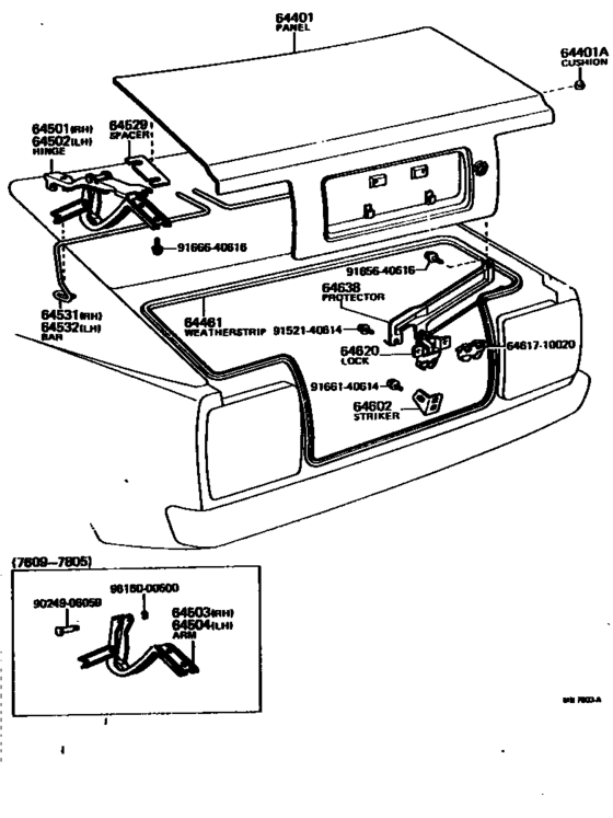 Luggage Compartment Door & Lock