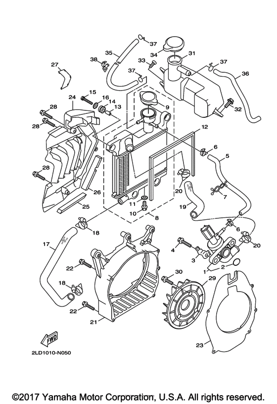 Radiator & hose