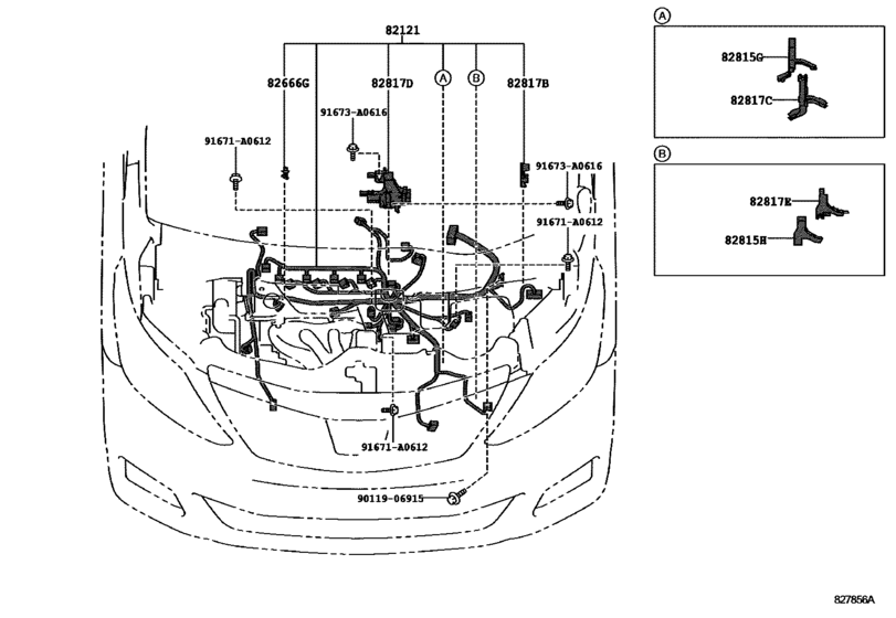 Wiring & Clamp
