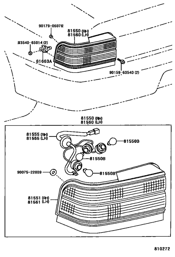 Rear Combination Lamp