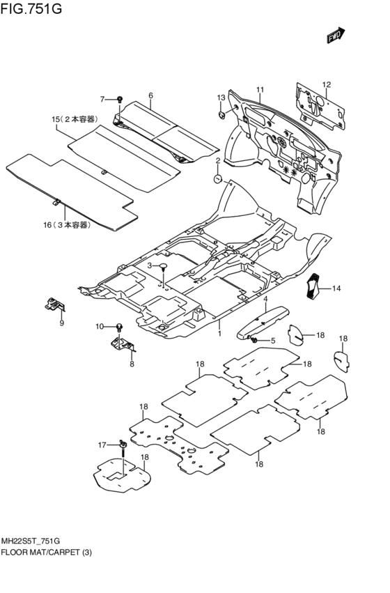 floor mat / carpet