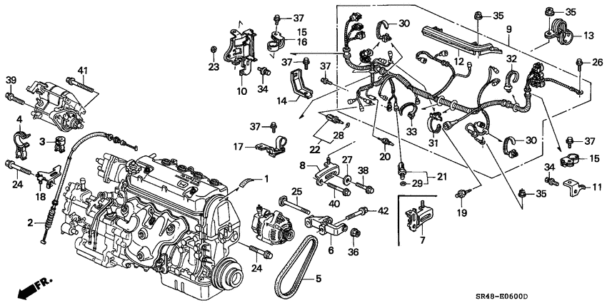 Engine wire harness/clamp