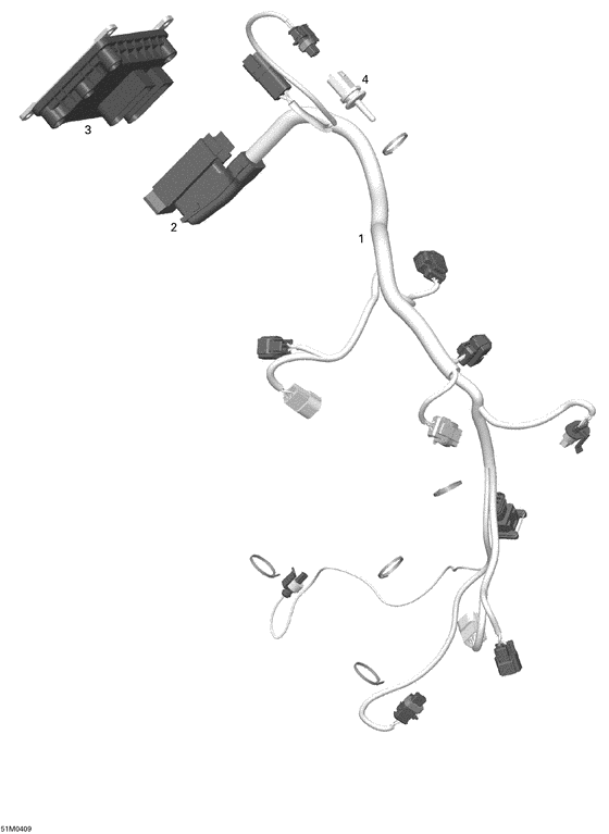 10- wiring harness, electronic module