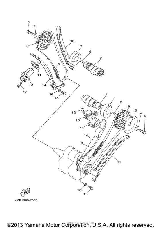 Camshaft & chain