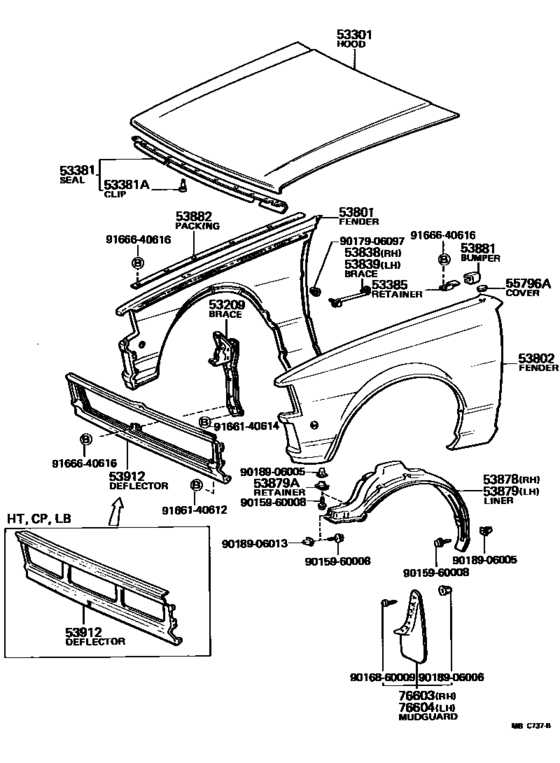 Hood & Front Fender