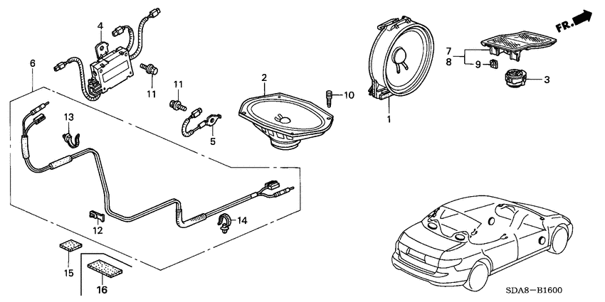 Radio antenna/speaker