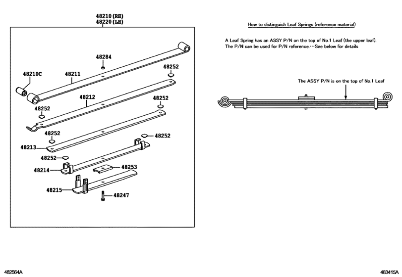 Rear Spring & Shock Absorber