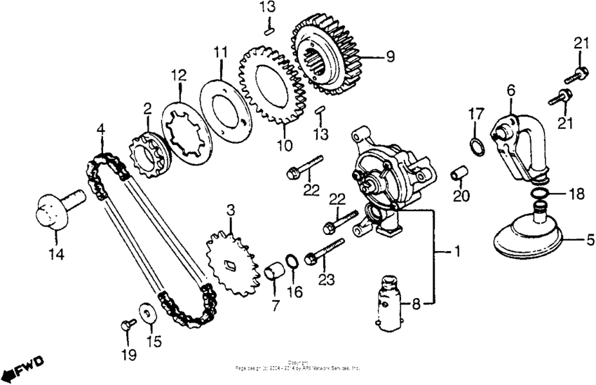 Oil pump + primary drive gear
