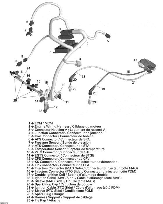 10- engine harness and electronic module