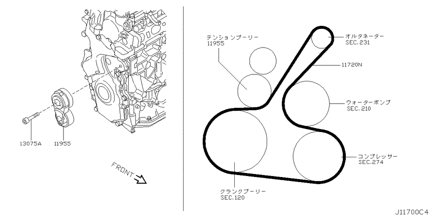 Fan,compressor & power steering belt