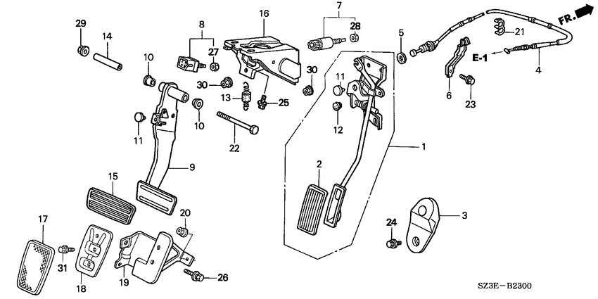 Pedal