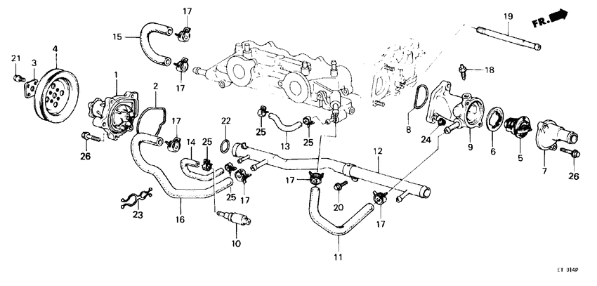 Water pump/thermostat