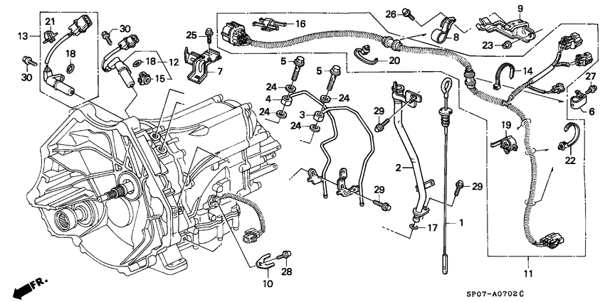 Oil level gauge/harness