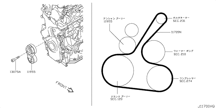Fan,compressor & power steering belt