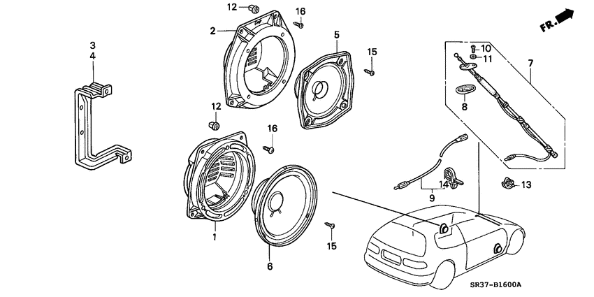 Radio antenna/speaker
