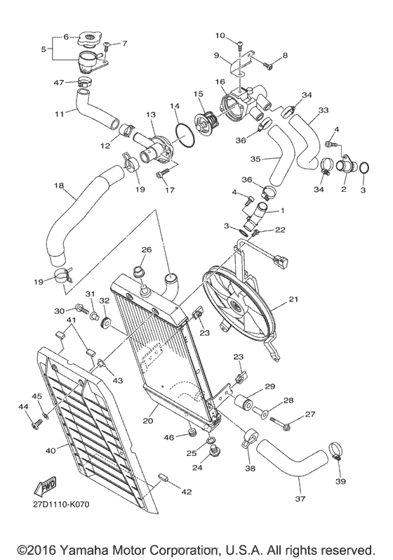 Radiator & hose